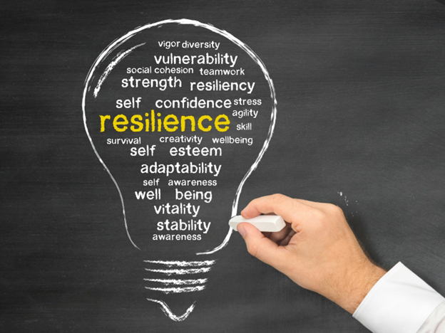 Resilience Light Bulb image