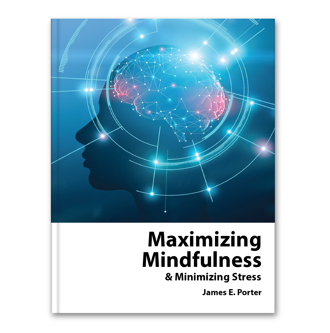 Maximizing Mindfulness